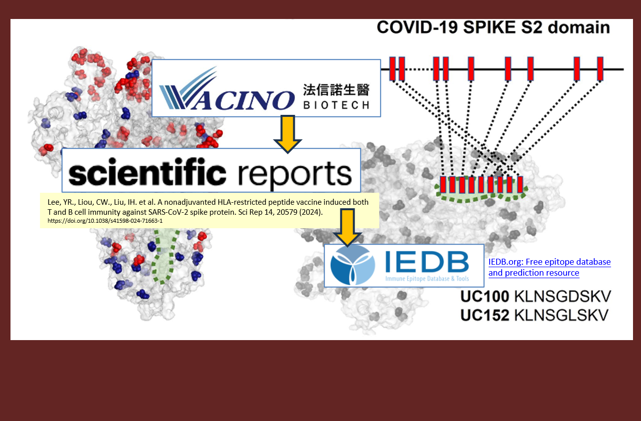 法信諾生醫新冠疫苗表位胜肽抗原已收錄於美國國家過敏及感染疾病研究所 (NIAID) 成立之免疫表位資料庫及分析資源 (IEDB)中